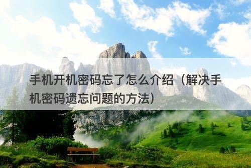 手机开机密码忘了怎么介绍（解决手机密码遗忘问题的方法）