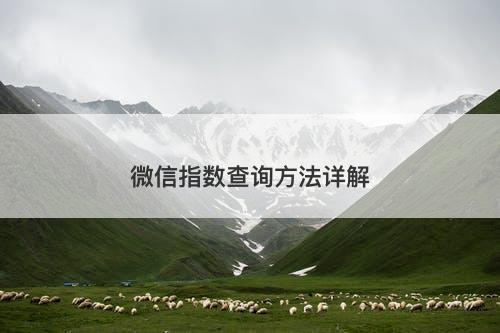 微信指数查询方法详解