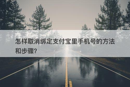 怎样取消绑定支付宝里手机号的方法和步骤？