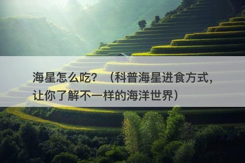 海星怎么吃？（科普海星进食方式，让你了解不一样的海洋世界）