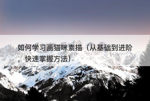 如何学习画猫咪素描（从基础到进阶，快速掌握方法）
