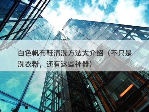 白色帆布鞋清洗方法大介绍（不只是洗衣粉，还有这些神器）