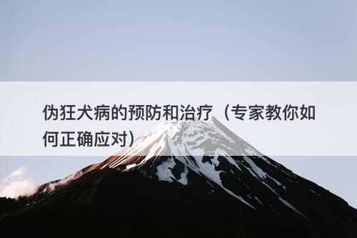 伪狂犬病的预防和治疗（专家教你如何正确应对）