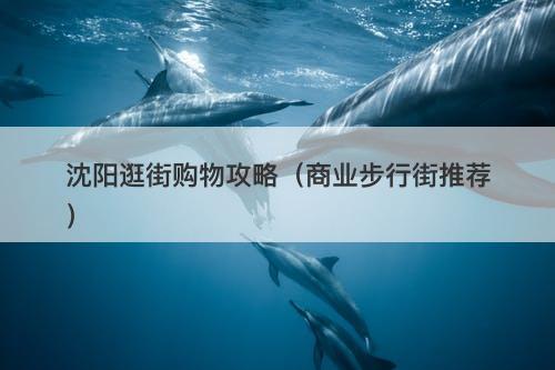 沈阳逛街购物攻略（商业步行街推荐）