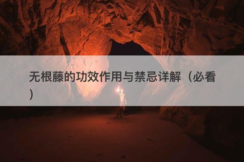 无根藤的功效作用与禁忌详解（必看）-图1