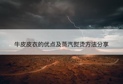 牛皮皮衣的优点及蒸汽熨烫方法分享