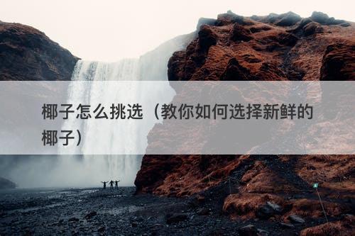 椰子怎么挑选（教你如何选择新鲜的椰子）