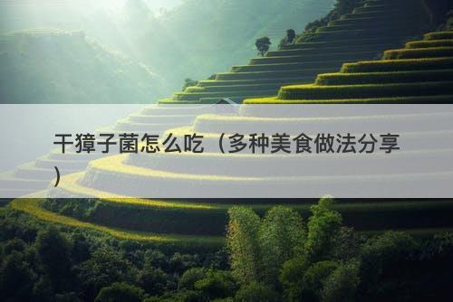 干獐子菌怎么吃（多种美食做法分享）