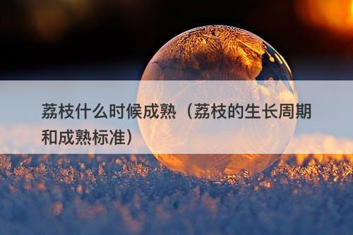 荔枝什么时候成熟（荔枝的生长周期和成熟标准）