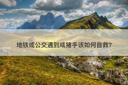地铁或公交遇到咸猪手该如何自救？