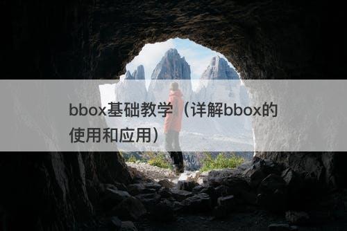 bbox基础教学（详解bbox的使用和应用）