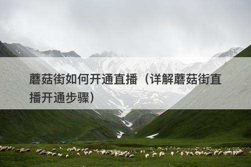 蘑菇街如何开通直播（详解蘑菇街直播开通步骤）