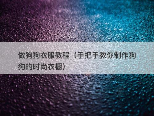 做狗狗衣服教程（手把手教你制作狗狗的时尚衣橱）