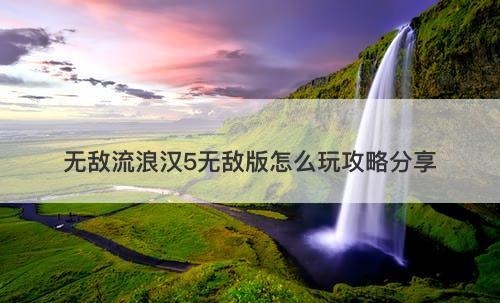 无敌流浪汉5无敌版怎么玩攻略分享