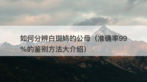 如何分辨白斑鸠的公母（准确率99%的鉴别方法大介绍）