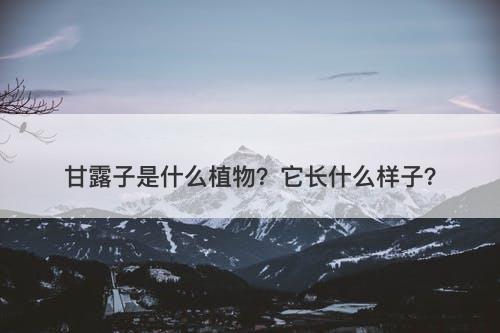 甘露子是什么植物？它长什么样子？