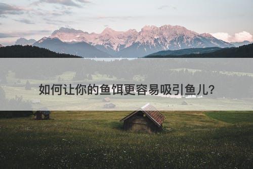 如何让你的鱼饵更容易吸引鱼儿？