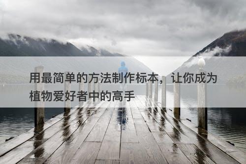 用最简单的方法制作标本，让你成为植物爱好者中的高手