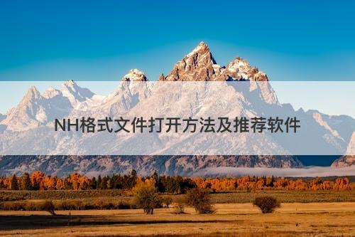 NH格式文件打开方法及推荐软件
