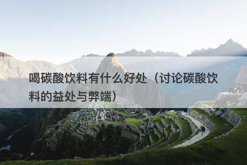 喝碳酸饮料有什么好处（讨论碳酸饮料的益处与弊端）