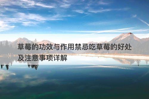 草莓的功效与作用禁忌吃草莓的好处及注意事项详解