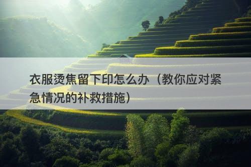 衣服烫焦留下印怎么办（教你应对紧急情况的补救措施）