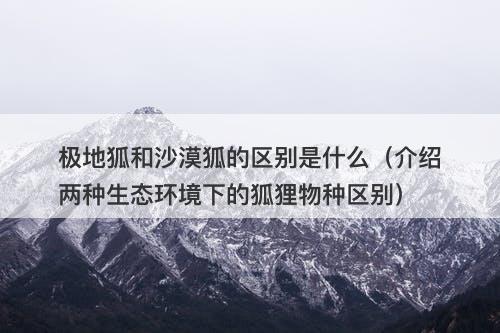 极地狐和沙漠狐的区别是什么（介绍两种生态环境下的狐狸物种区别）-图1