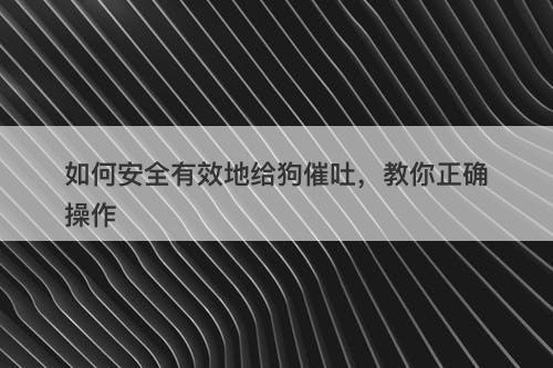 如何安全有效地给狗催吐，教你正确操作