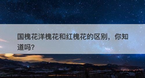 国槐花洋槐花和红槐花的区别，你知道吗？