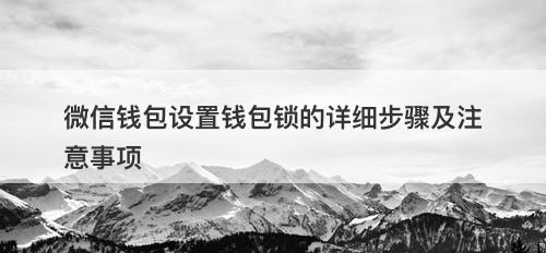 微信钱包设置钱包锁的详细步骤及注意事项