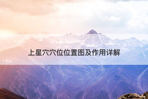 上星穴穴位位置图及作用详解