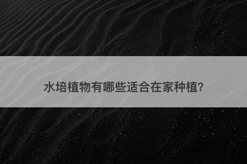 水培植物有哪些适合在家种植？