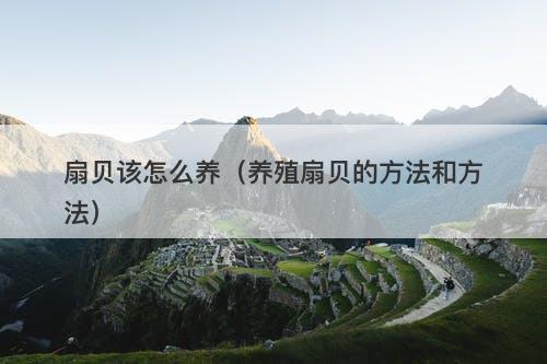 扇贝该怎么养（养殖扇贝的方法和方法）