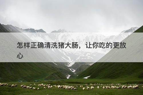 怎样正确清洗猪大肠，让你吃的更放心