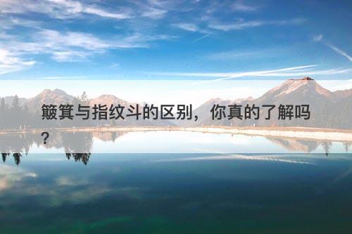 簸箕与指纹斗的区别，你真的了解吗？