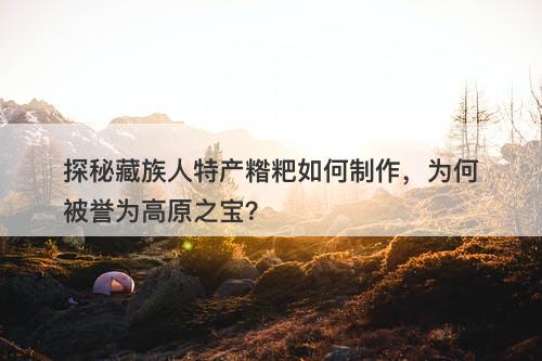 探秘藏族人特产糌粑如何制作，为何被誉为高原之宝？