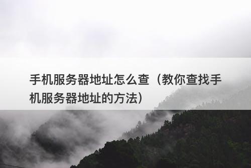 手机服务器地址怎么查（教你查找手机服务器地址的方法）