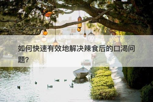 如何快速有效地解决辣食后的口渴问题？