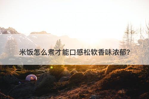 米饭怎么煮才能口感松软香味浓郁？