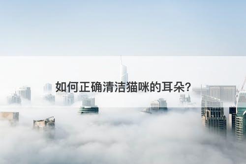 如何正确清洁猫咪的耳朵？