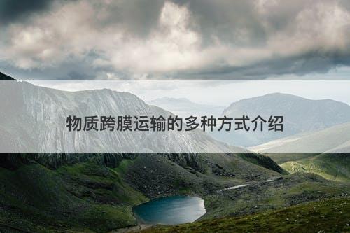 物质跨膜运输的多种方式介绍