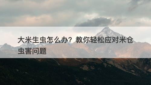 大米生虫怎么办？教你轻松应对米仓虫害问题