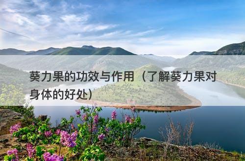 葵力果的功效与作用（了解葵力果对身体的好处）