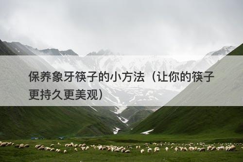 保养象牙筷子的小方法（让你的筷子更持久更美观）