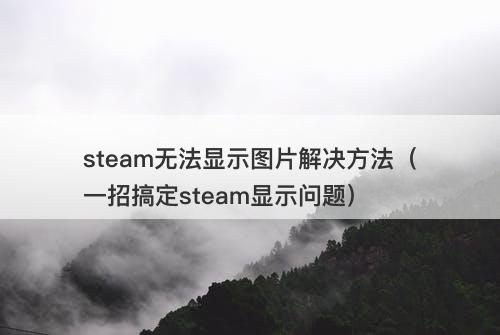steam无法显示图片解决方法（一招搞定steam显示问题）