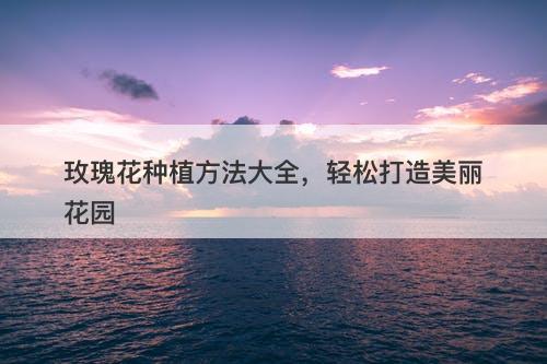 玫瑰花种植方法大全，轻松打造美丽花园