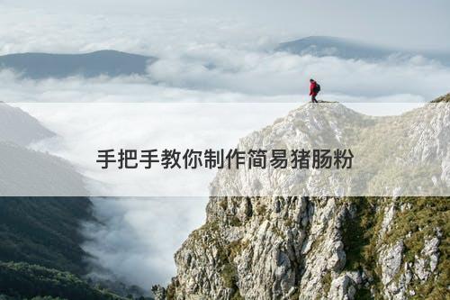 手把手教你制作简易猪肠粉