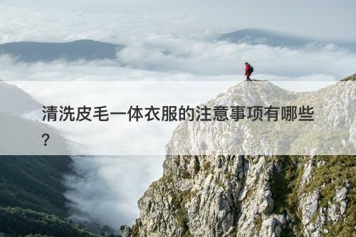 清洗皮毛一体衣服的注意事项有哪些？