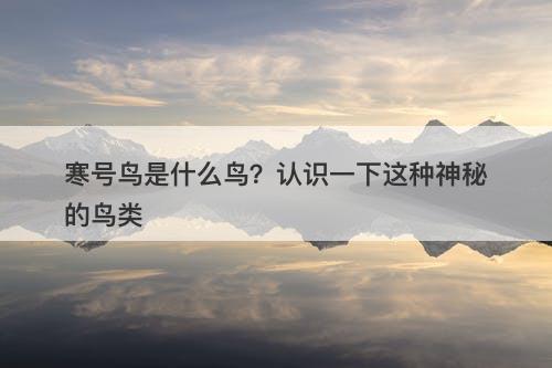 寒号鸟是什么鸟？认识一下这种神秘的鸟类