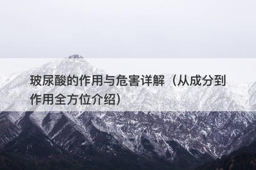 玻尿酸的作用与危害详解（从成分到作用全方位介绍）